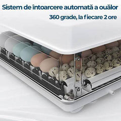 Incubator Automat C-70, Capacitate 70 Oua Gaina, Intoarcere Automata, Putere 60W, Tensiune 220V/12V