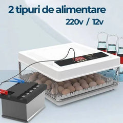 Incubator Automat C-130, Capacitate 130 Oua, Control Temperatura si Umiditate, Afisaj LED, 100W, 220V