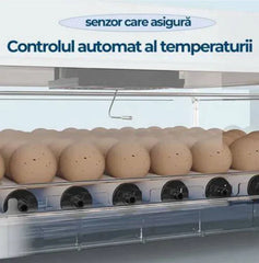 Incubator Automat C-130, Capacitate 130 Oua, Control Temperatura si Umiditate, Afisaj LED, 100W, 220V