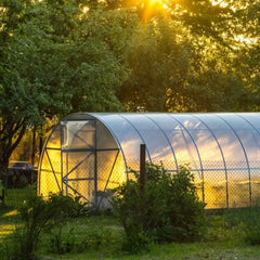 Solar policarbonat cu sistem de irigare 6x3x2.5m, structura metalica, 18m², protectie UV